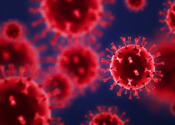 Фото: Shutterstock