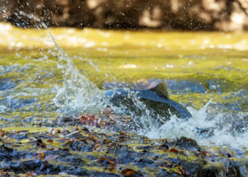 Фото: Shutterstock