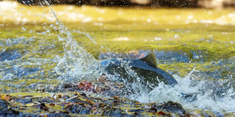 Фото: Shutterstock