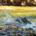 Фото: Shutterstock
