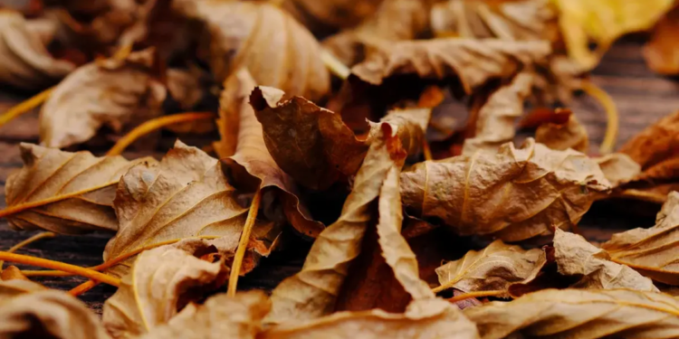Фото: Shutterstock