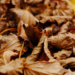 Фото: Shutterstock