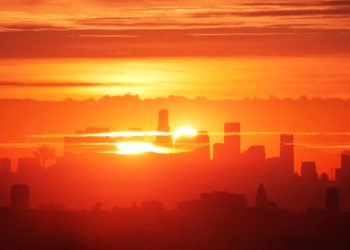 Фото: Shutterstock