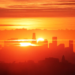 Фото: Shutterstock