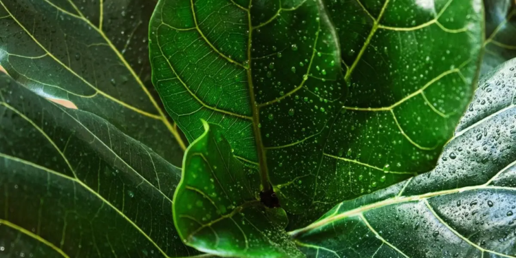 Фото: Shutterstock