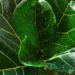 Фото: Shutterstock