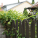 Фото: Shutterstock