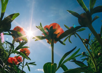 Фото: Shutterstock