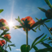 Фото: Shutterstock