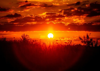 Фото: Shutterstock
