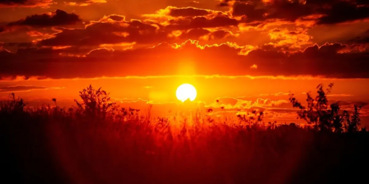 Фото: Shutterstock