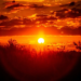 Фото: Shutterstock