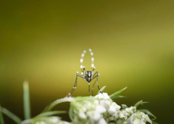 Фото: Shutterstock