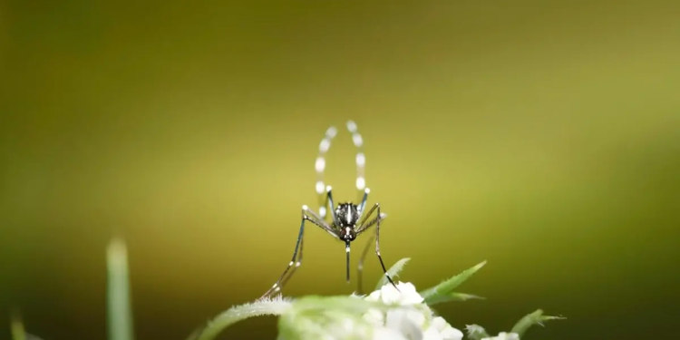 Фото: Shutterstock