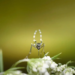 Фото: Shutterstock