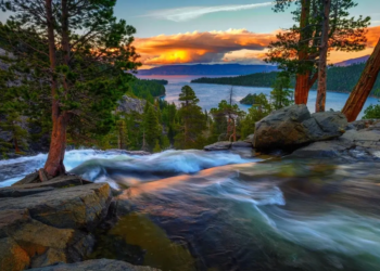 Фото: Shutterstock