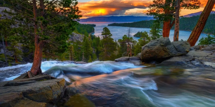 Фото: Shutterstock