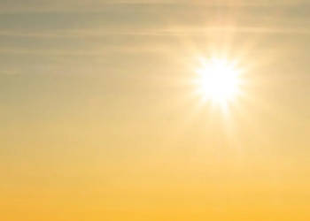 Фото: Shutterstock