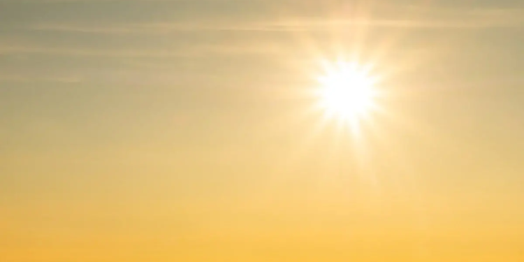 Фото: Shutterstock