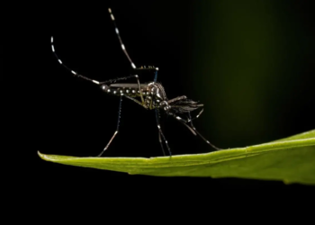 Фото: Shutterstock