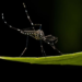Фото: Shutterstock