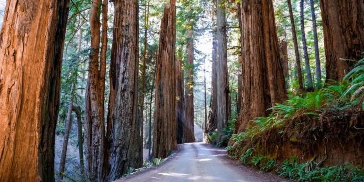 Фото: Shutterstock