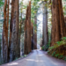 Фото: Shutterstock