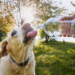 Фото: Shutterstock