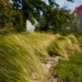 Фото: Shutterstock