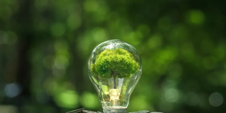 Фото: Shutterstock
