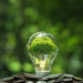 Фото: Shutterstock
