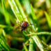 Фото: Shutterstock