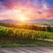 Фото: Shutterstock