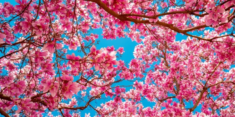 Фото: Shutterstock