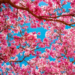 Фото: Shutterstock