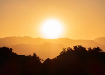 Фото: Shutterstock