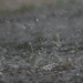 Фото: Shutterstock