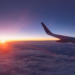 Фото: Shutterstock