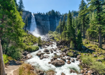 Фото: Shutterstock