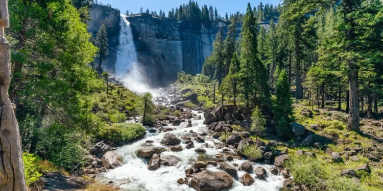 Фото: Shutterstock