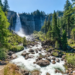 Фото: Shutterstock