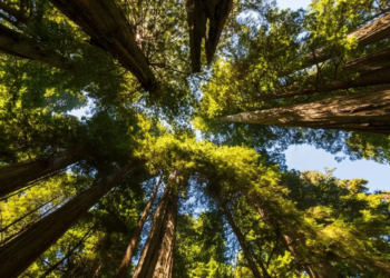 Фото: Shutterstock