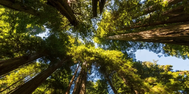Фото: Shutterstock