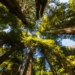 Фото: Shutterstock