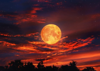 Фото: Shutterstock