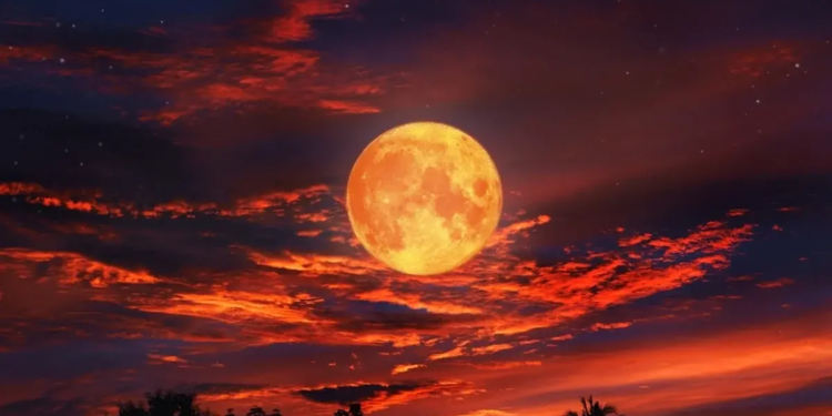 Фото: Shutterstock