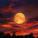 Фото: Shutterstock