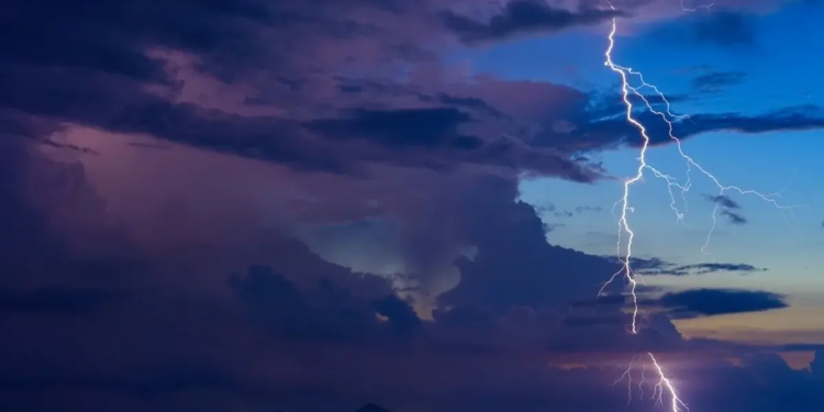 Фото: Shutterstock