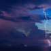 Фото: Shutterstock