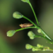 Фото: Shutterstock